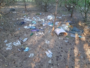 śmieci leżą w lesie