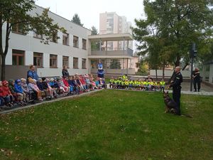 Policjant z psem służbowym prowadzi prelekcję dla dzieci na terenie zielonym przedszkola. Dzieci siedzą na dwóch długich ławkach.